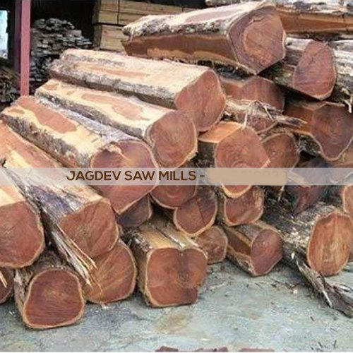 24mm Thick 10 Feet Brown Ghana Teak Wood from Jagdev Saw Mills