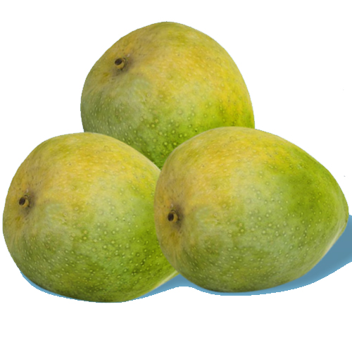 Best Quality Malgova Mango from Ranee's Fresh