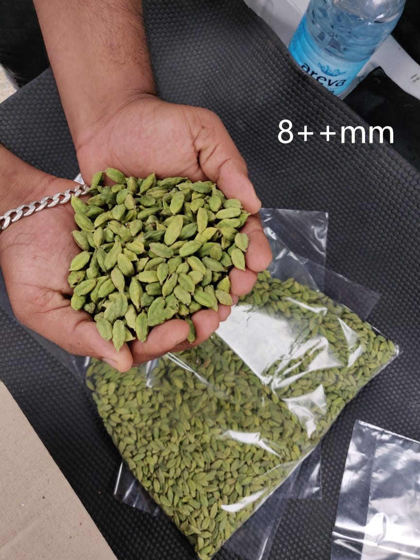Best Quality Green Cardamom 8++ mm from Spice Wind Traders