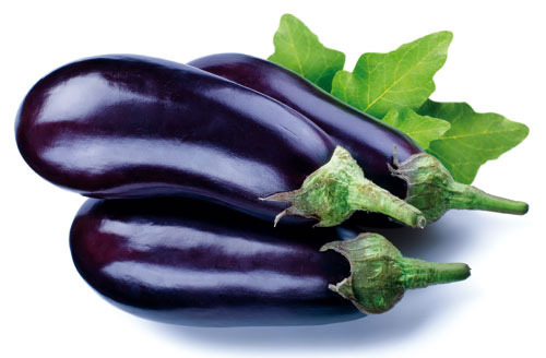 Fresh Brinjal from Chauhan Exim