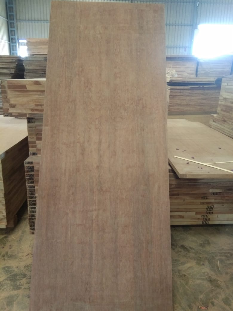30mm single core solid hardwood Gurjan Face top and bottom Flush Door from Shree Durga Wooden Industries