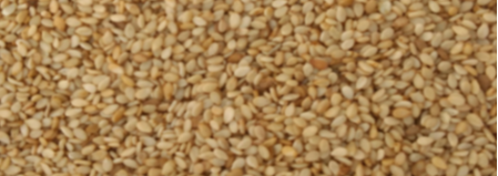 Sesame Seeds from AUREA INTERNACIONAL 