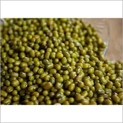 Best Quality Organic Green Gram from Sri Guru Krupa Traders