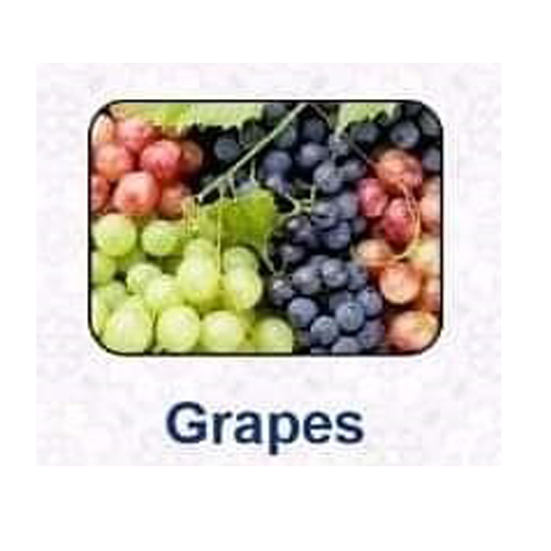 Best A Grade Export Quality Grapes from SMALL MARKET EXIM India