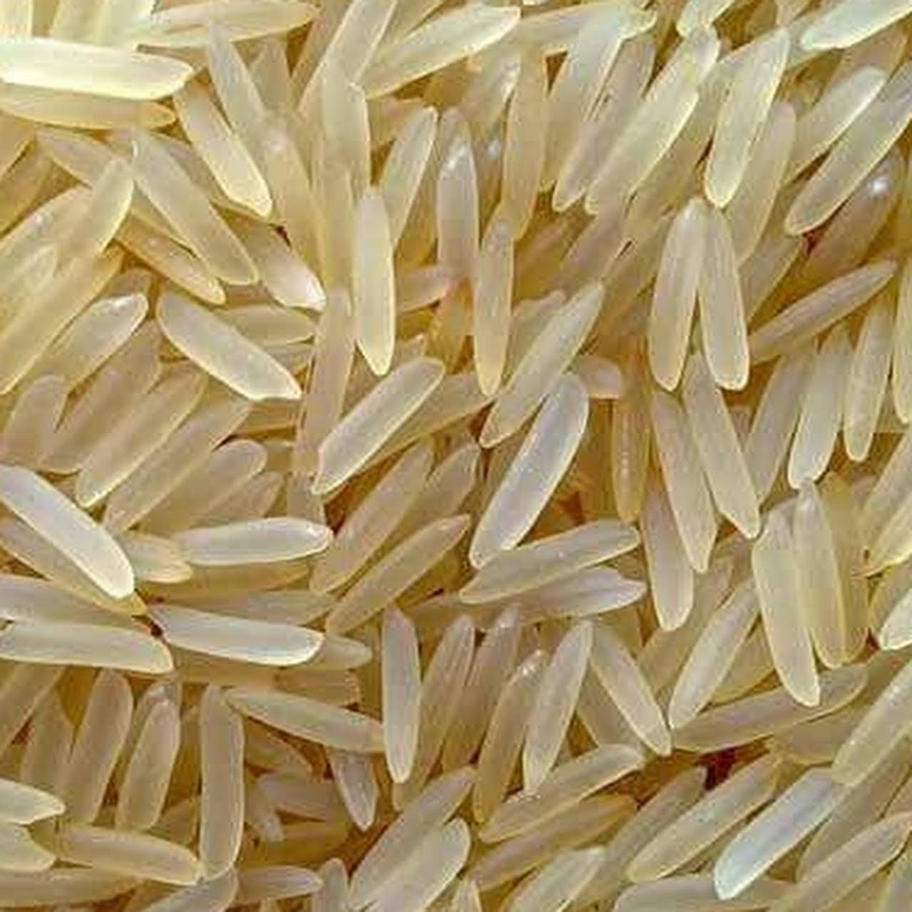 1121 Golden Rice From Agrive from Agrive Export & Import
