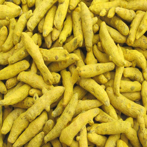 Best Quality Turmeric (Haldi) from Rameshwaram Agro Exporters from Rameshwaram Agro Exporters