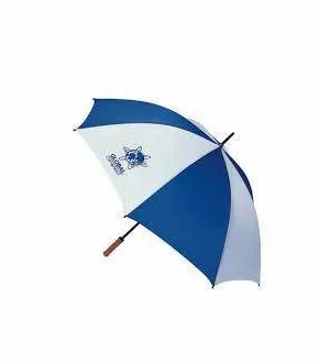 Printed Umbrella  from Rajasthani Umbrella Manufacturers Enterprise