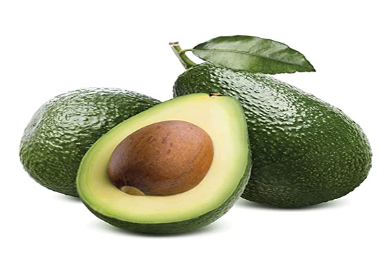 Export Quality A Grade Indian Avocado