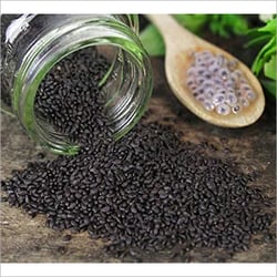 Basil Seeds