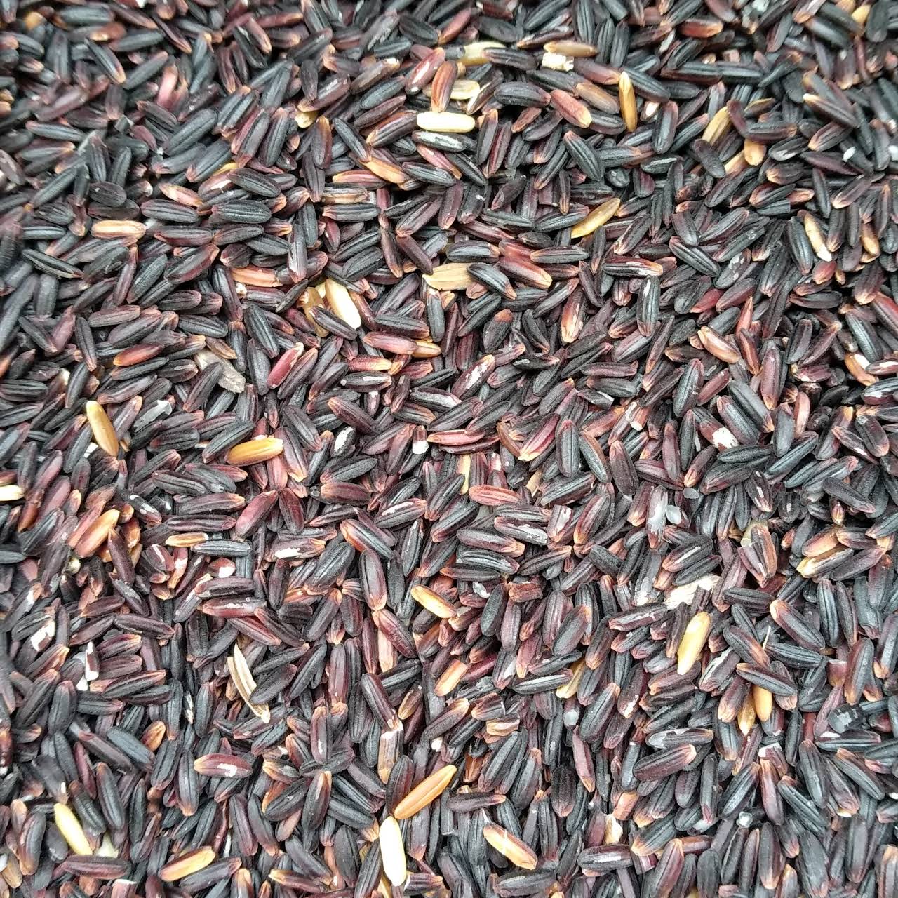 Best Quality A Grade Black Rice from Pathway India