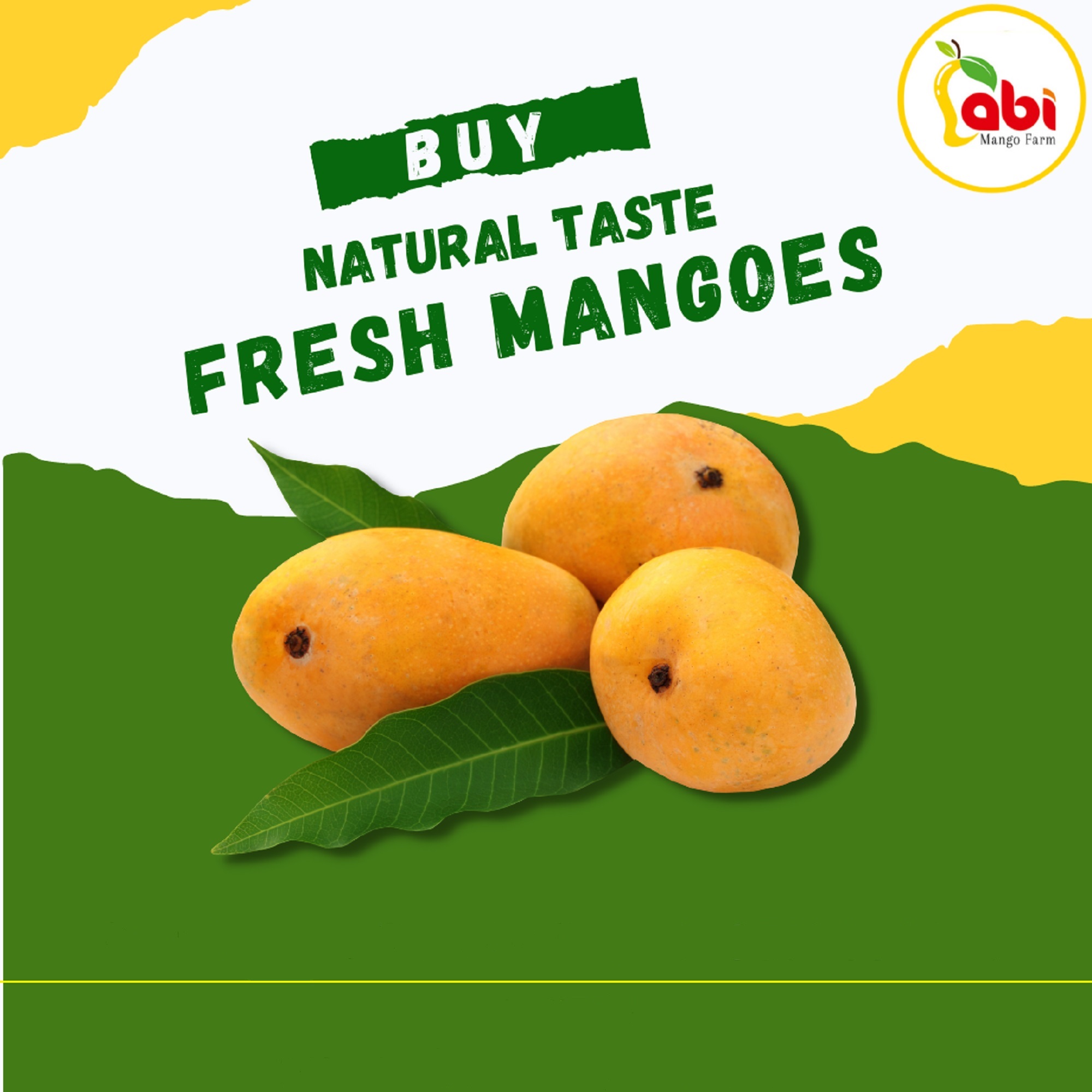 Order Organic Mangoes Online | Originally Grown Alphonso Mangoes