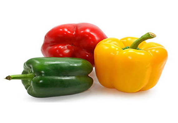 A Grade Red And Yellow Capsicum from Harsha & Co