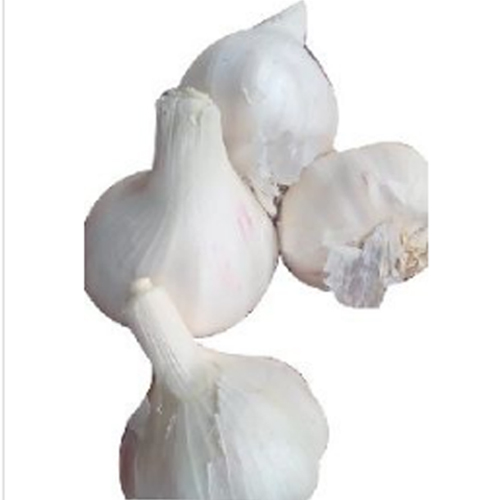 A Grade Fresh Garlic from Dhanraj World of Export