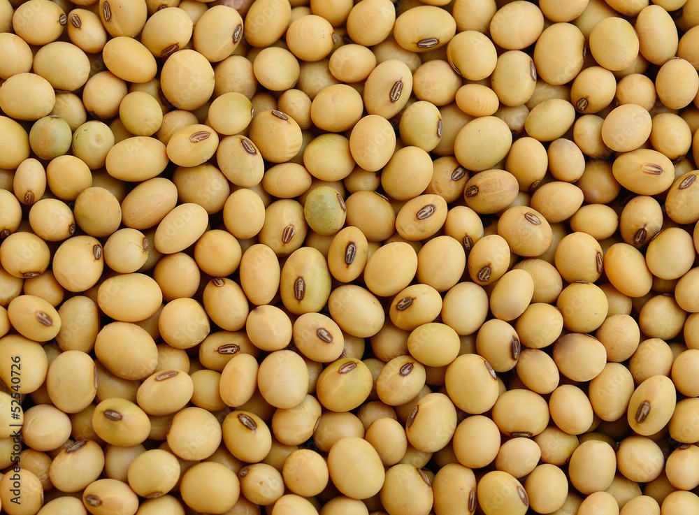 Soybeans 