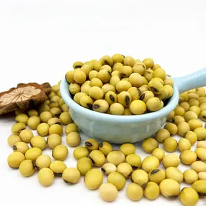 Yellow Soya Beans from Kudron Commodities