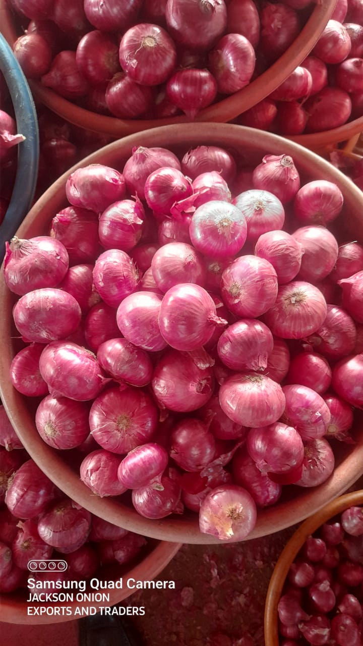 Best Quality Onion From Shobha Trading from Shobha Trading Company 