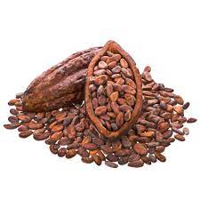 BEST ORGANIC COCOA BEAN from STANDARD FOCUS ROYALLERE INTERNATIONAL LIMITED