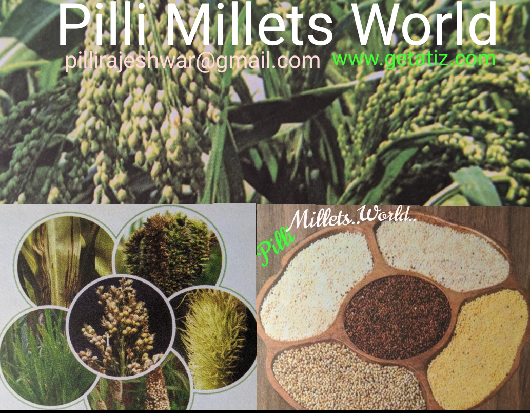 Millets from Pilli Millets world 