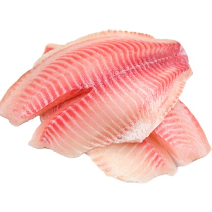 Fresh Fish Fillet from Latmek Exporters