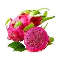 Red Dragon Fruit