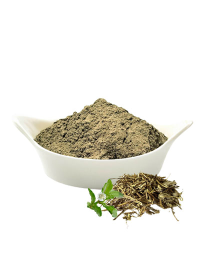 Bhringraj Powder (Eclipta Prostrata) from Indian henna supplier and henna products exporter - Natural Herbal