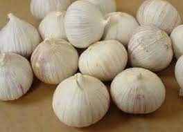 A Grade Solo Garlic from Delwai International Pvt Ltd................