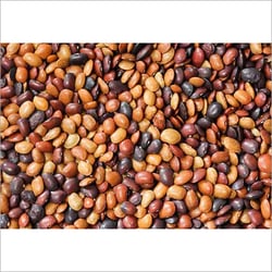 Best Quality Organic Horse Gram from Sri Guru Krupa Traders