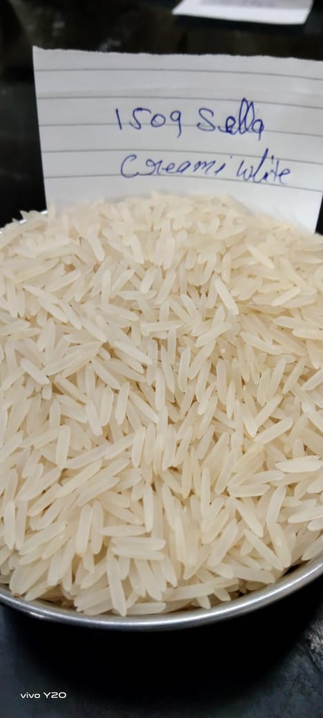 1509 Sella Creami White Basmati Rice from DR TRADERS