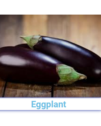 A Grade Fresh Eggplant (Brinjal) - Pan India from SRG EXIM