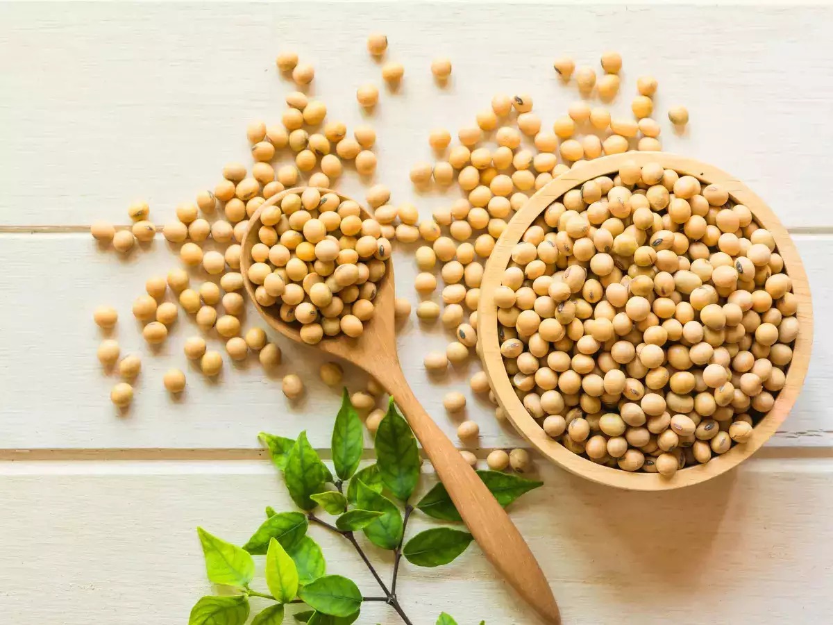 Best Quality Soy Beans