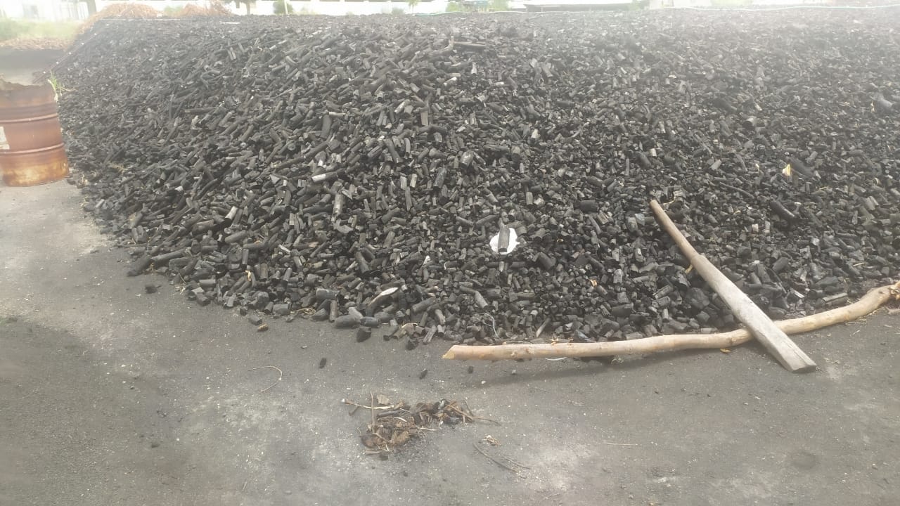 Stemp Wood Charcoal from Dharma Traders