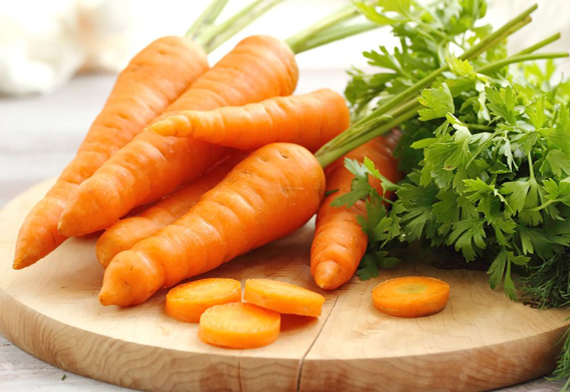 A Grade Pan India Fresh Carrot from Harsha & Co