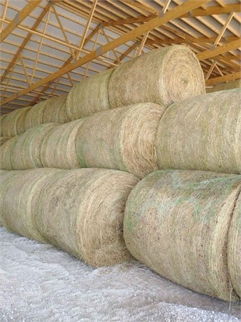 Alfalfa hay for sale from Seaside Hay farm