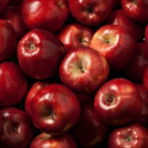 Premium Quality  Fresh Red Apple  from Hakim vegetable and fruit supplier 