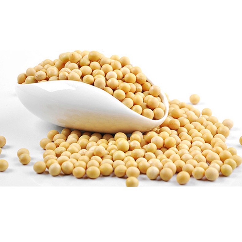 Nutritious fresh  soya beans