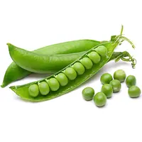 High Quality fresh green peas  from Masterlink Malawi