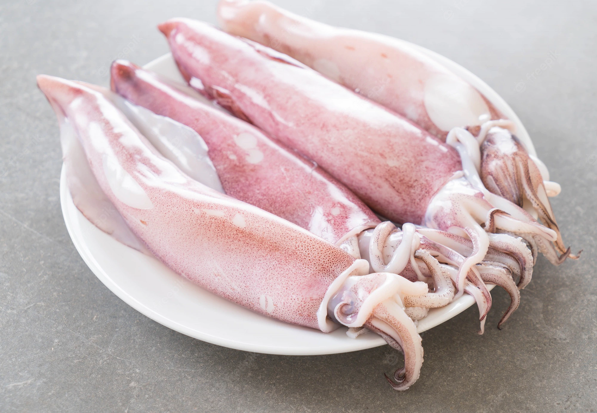 Frozen Squid Fish 