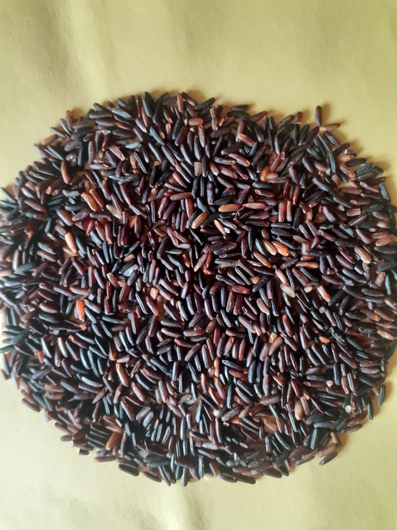 Black Rice in best Price