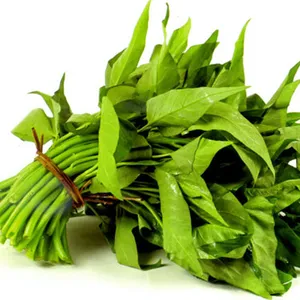 Wholesale price  spinach  from Farm Right Ghana Limited