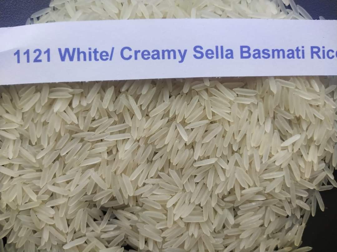 1121 Basmati White Sella Basmati Rice from Shree Shyam Daily Foods industries