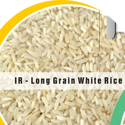 IR Long Grain White Rice from Kirorimal Kashiram Marketing and Agencies Pvt. Ltd