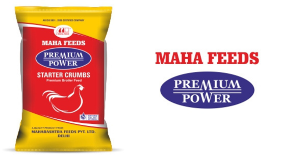 Premium Powder , Poultry feeds from Maharashtra Feeds Pvt. Ltd.