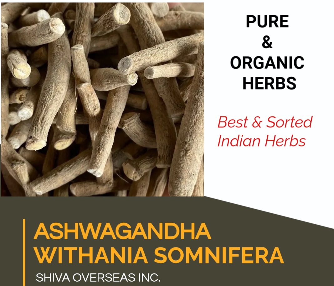 Ashwagandha / Withania Somnifera Roots from SHIVA OVERSEAS INC