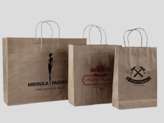 Paper Bag Exporter from India from Outlay control