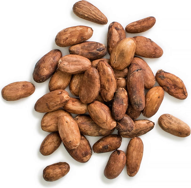 Top Grade Dry Cocoa Beans For Sale from Spice Wind Traders