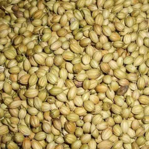 Light Brown Color Organic Coriander Seeds from Zadex Exim