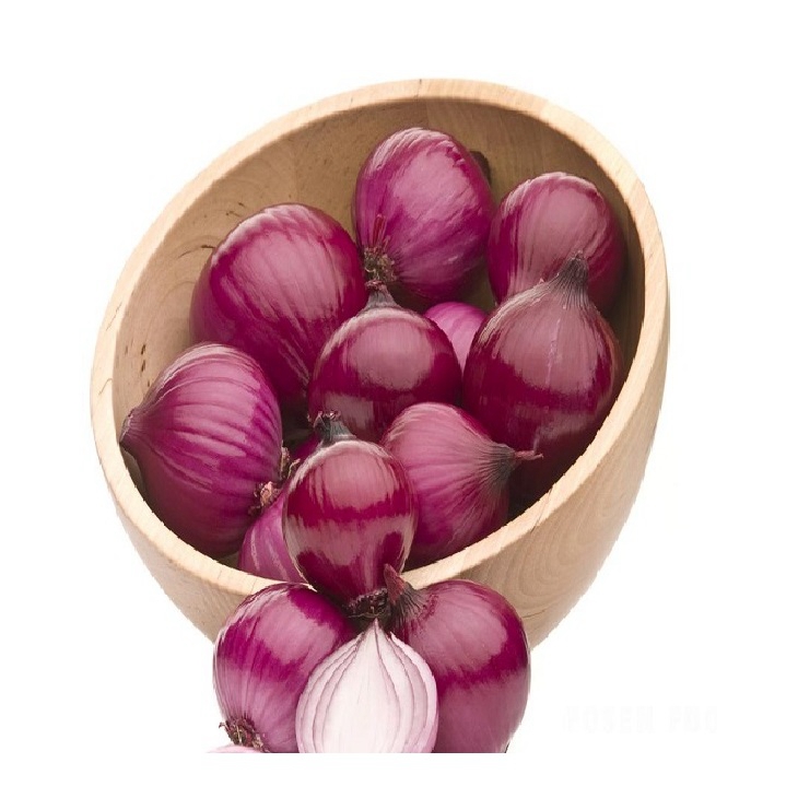 Best A Grade Export Quality Onion from SMALL MARKET EXIM India