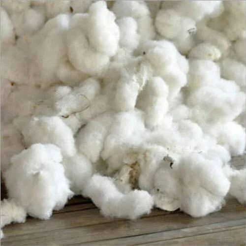 Cotton Raw Material