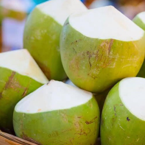 Fresh, Green & Tender Coconuts from EXPO TRADING