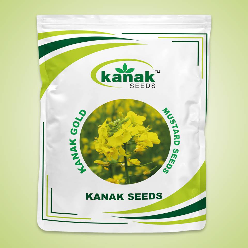 Mustard seed  from Kanak Seeds